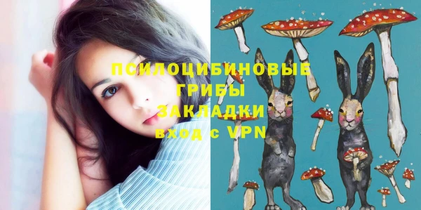 Альфа ПВП Арсеньев
